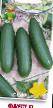 Cucumbers varieties Faust F1 Photo and characteristics