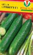 Cucumbers varieties Stinger F1 Photo and characteristics