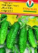 Cucumbers varieties Levina F1 Photo and characteristics