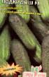 Cucumbers varieties Podkidysh F1 Photo and characteristics