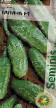 Cucumbers varieties Galina F1 Photo and characteristics