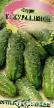 Cucumbers varieties Zhuravlenok F1 Photo and characteristics