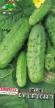 Cucumbers varieties Korolevskijj F1 Photo and characteristics