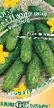 Cucumbers  Izumrudnaya semejjka F1 grade Photo