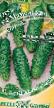 Cucumbers  Mamenkin synok F1 grade Photo
