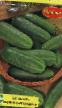Cucumbers varieties Forum F1 Photo and characteristics