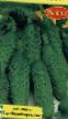 des concombres les espèces Yulian F1 Photo et les caractéristiques