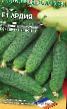 Cucumbers  Ardiya F1 grade Photo
