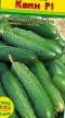 Cucumbers varieties Kvin F1 Photo and characteristics