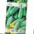 Cucumbers  Rodos F1 grade Photo