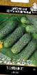 Cucumbers  Ehkipazh F1 grade Photo