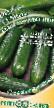 Cucumbers  Mese Olive salatnyjj F1 grade Photo