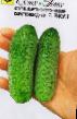 Cucumbers varieties Risan F1 Photo and characteristics