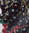 Френско грозде  Дегтяревская сорт снимка