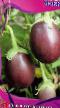 Eggplant  Mokko grade Photo