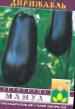 Eggplant  Dirizhabl grade Photo