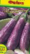 Eggplant varieties Fejjri  Photo and characteristics