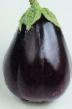 Eggplant  Lakomka grade Photo