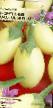 Jajčevci sort Zolotoe yaichko fotografija in značilnosti