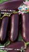 Eggplant varieties Princ Photo and characteristics
