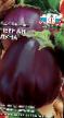 une aubergine  Chernaya Luna l'espèce Photo