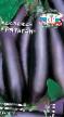 Eggplant varieties Yatagan F1 Photo and characteristics