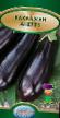 Eggplant varieties Anet F1  Photo and characteristics