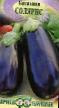 une aubergine les espèces Solyaris Photo et les caractéristiques