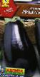 Eggplant varieties Mishutka Photo and characteristics