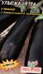 Baklažán druhy Ulybka negra fotografie a charakteristiky