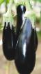 Eggplant varieties Marcipan F1` Photo and characteristics