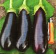 Eggplant varieties Fabina F1 Photo and characteristics