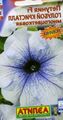 ღია ლურჯი ყვავილების Petunia სურათი და მახასიათებლები