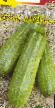 Le zucchine le sorte Seryjj kardinal foto e caratteristiche