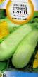 Le zucchine  Blanshet  la cultivar foto
