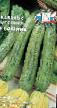 Calabacines variedades Afina F1 Foto y características