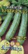 Le zucchine  Kukurzello la cultivar foto