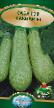 Le zucchine le sorte Kavili F1  foto e caratteristiche