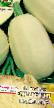 Calabacines variedades Spagetti raviolo Foto y características