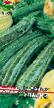Le zucchine le sorte Udalojj foto e caratteristiche