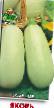 Le zucchine le sorte Yakor foto e caratteristiche