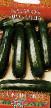 Le zucchine le sorte Drakosha foto e caratteristiche