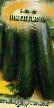 Calabacines variedades Negritenok Foto y características