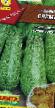 Le zucchine le sorte Erjoma foto e caratteristiche