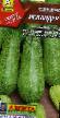 Le zucchine le sorte Iskander F1 (Aehlita) foto e caratteristiche