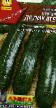 Calabacines  Delikates variedad Foto