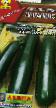 Le zucchine  Cyganenok la cultivar foto