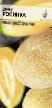 un melon  Rosinka l'espèce Photo