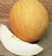 un melon les espèces Bonzhur F1 Photo et les caractéristiques