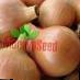 Κρεμμύδια ποικιλίες Shetana φωτογραφία και χαρακτηριστικά